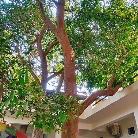 Green Hub Pushkar Villa Esterno foto
