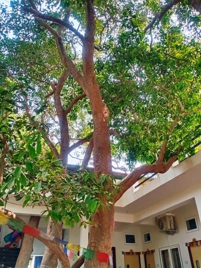 Green Hub Pushkar Villa Esterno foto